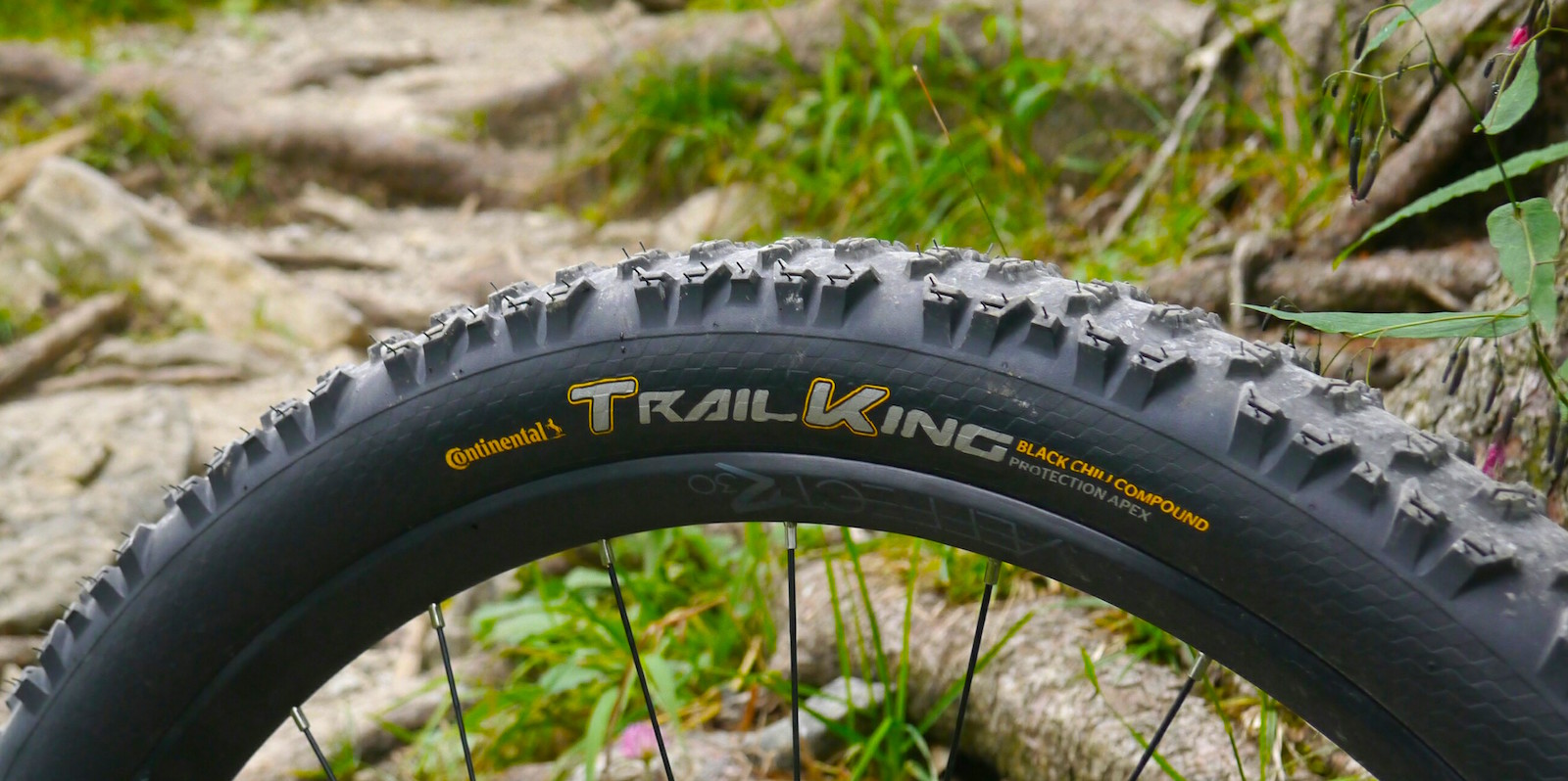 trail king protection