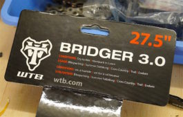 1a WTB Bridger+