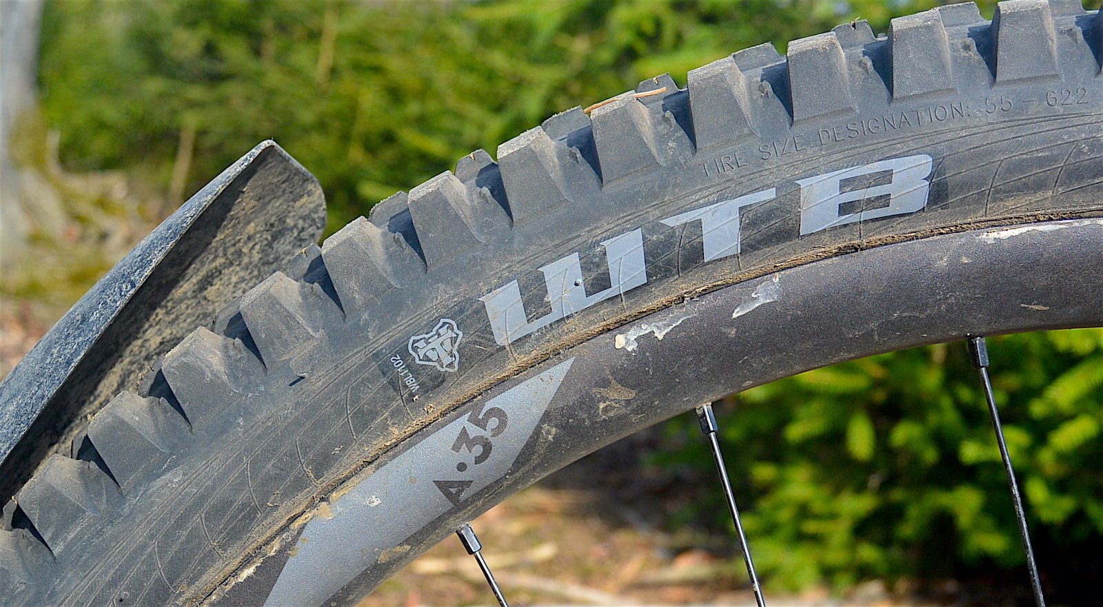 WTB Pneumatico Macro 29x2.4 – TCS Tubeless Ready, Pieghevole, Battistrada Veloce E Leggero Con Protezione Laterale SG – Per Mountain Bike XC
